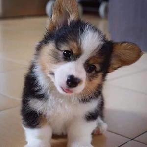 Meet your Posher, Carolyn